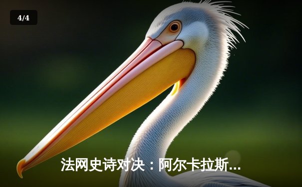 法网史诗对决：阿尔卡拉斯鏖战五盘险胜辛纳，半决赛上演青春风暴逆转好戏 - 4